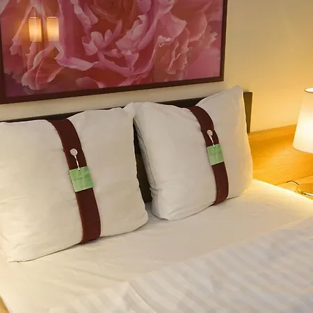 Holiday Inn Turku טורקו